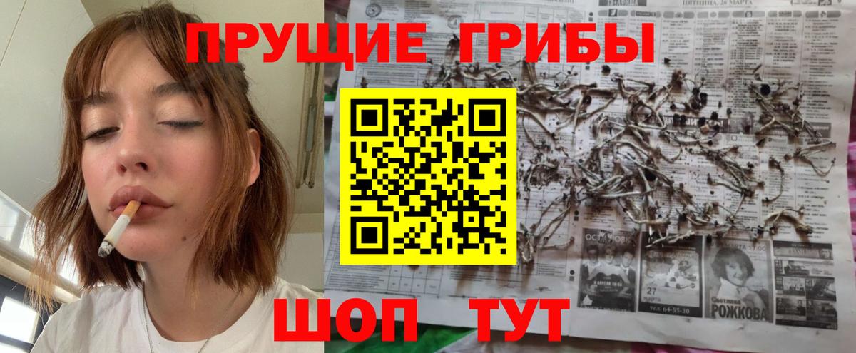 Галлюциногенные грибы Psilocybe  Вход с VPN  Унеча 